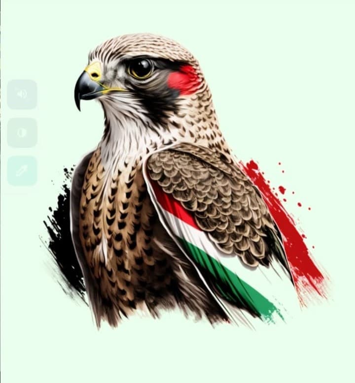 Start Battery Dubai UAE falcon brand artwork